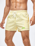 Striped Patched Drawstring Swim Shorts