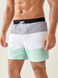 Three Tone Striped Print Swim Shorts