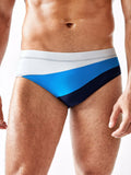 Dynamic Color Panel Swim Brief