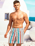 Striped Color Swim Shorts