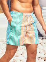 Striped Print Drawstring Beach Shorts