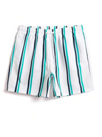 Striped Printed Swim Shorts